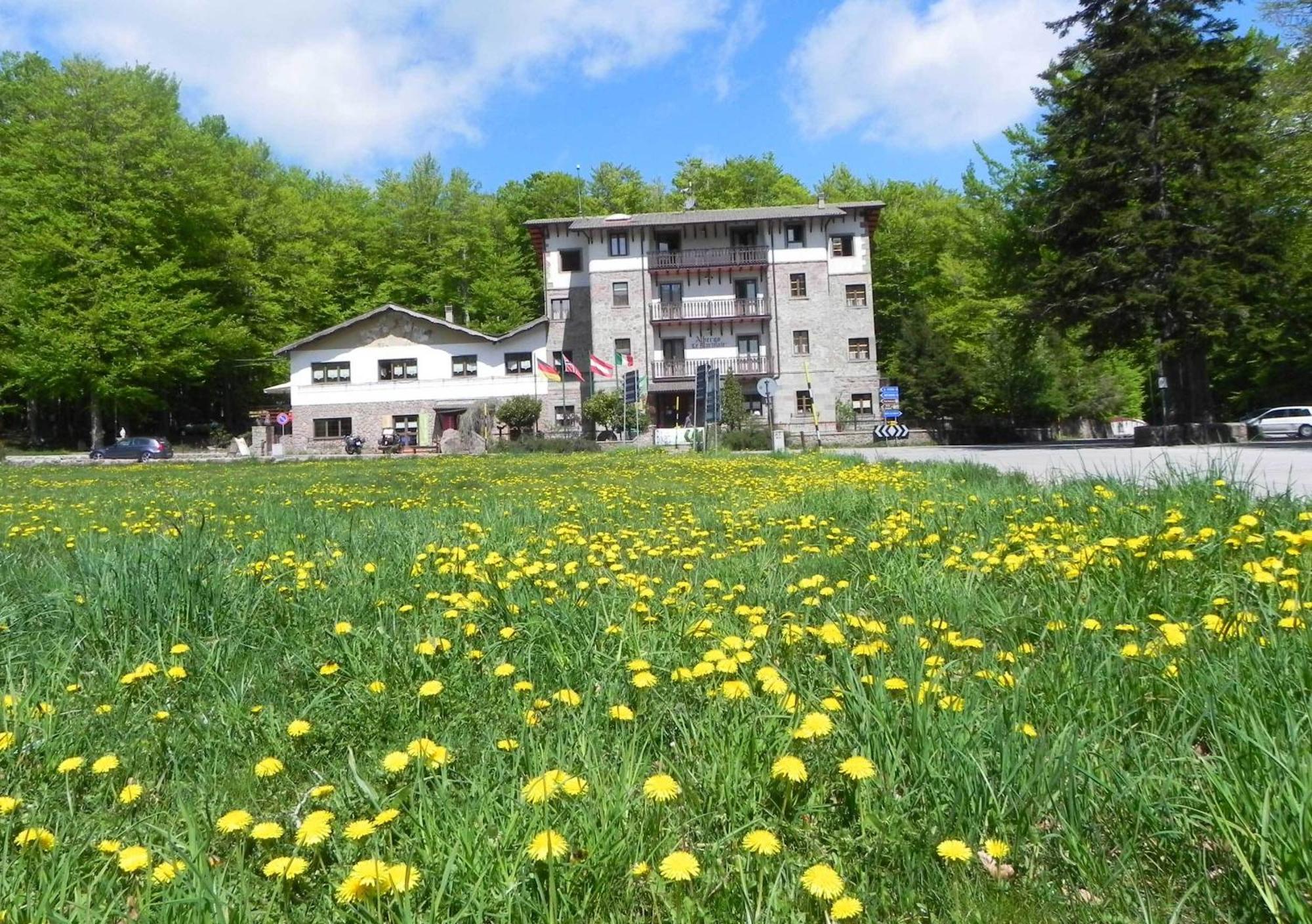 Albergo Le Macinaie - Monte Amiata Castel del Piano  Exterior photo
